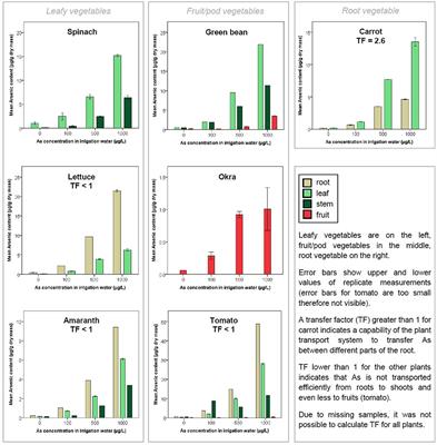 Uptake of Arsenic by Irrigated Vegetables and Cooked Food Products in Burkina Faso